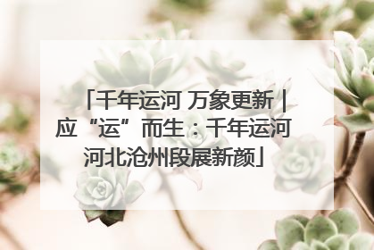 千年运河 万象更新｜应“运”而生：千年运河河北沧州段展新颜