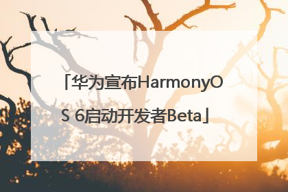 华为宣布HarmonyOS 6启动开发者Beta