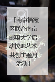 南京栖霞区联合南京邮电大学启动校地艺术共创主题月活动
