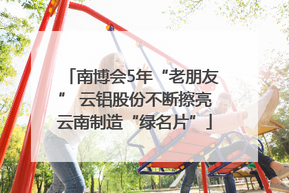 南博会5年“老朋友” 云铝股份不断擦亮云南制造“绿名片”