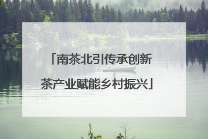 南茶北引传承创新 茶产业赋能乡村振兴