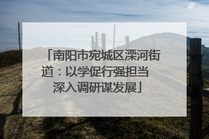 南阳市宛城区溧河街道：以学促行强担当 深入调研谋发展