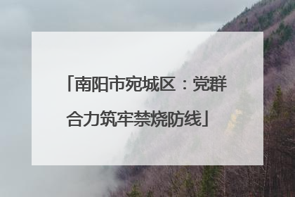 南阳市宛城区：党群合力筑牢禁烧防线