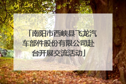 南阳市西峡县飞龙汽车部件股份有限公司赴台开展交流活动