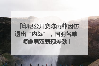 印尼公开赛陈雨菲因伤退出“内战”，国羽各单项唯男双表现差劲