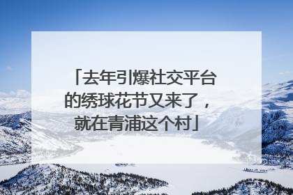 去年引爆社交平台的绣球花节又来了，就在青浦这个村