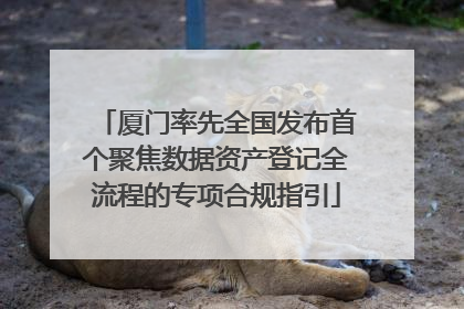 厦门率先全国发布首个聚焦数据资产登记全流程的专项合规指引