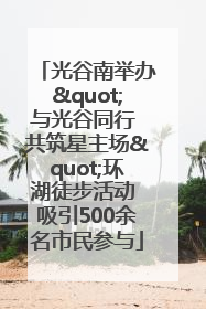 光谷南举办"与光谷同行 共筑星主场"环湖徒步活动 吸引500余名市民参与