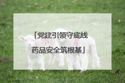 党建引领守底线 药品安全筑根基