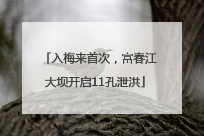 入梅来首次，富春江大坝开启11孔泄洪