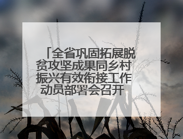 全省巩固拓展脱贫攻坚成果同乡村振兴有效衔接工作动员部署会召开 吴晓军主持并讲话 罗东川作安排部署