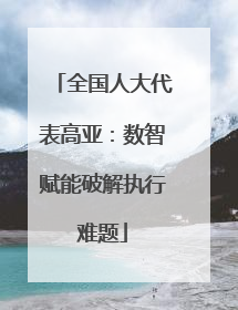 全国人大代表高亚：数智赋能破解执行难题