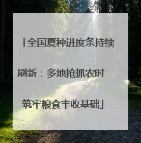 全国夏种进度条持续刷新：多地抢抓农时 筑牢粮食丰收基础