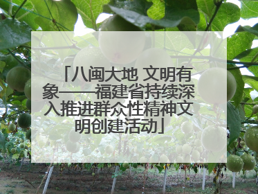 八闽大地 文明有象——福建省持续深入推进群众性精神文明创建活动