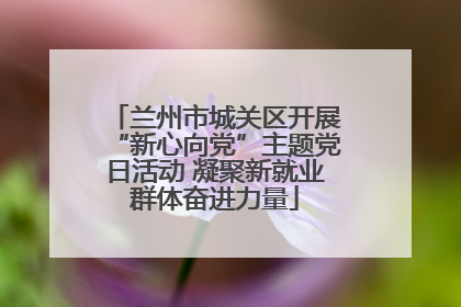 兰州市城关区开展“新心向党”主题党日活动 凝聚新就业群体奋进力量