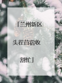 兰州新区头茬苜蓿收割忙
