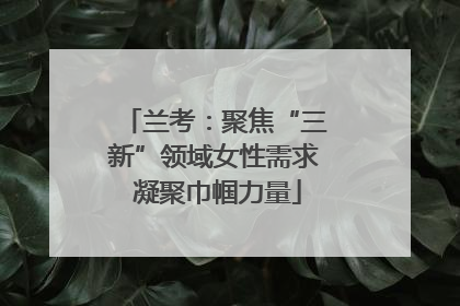 兰考：聚焦“三新”领域女性需求 凝聚巾帼力量
