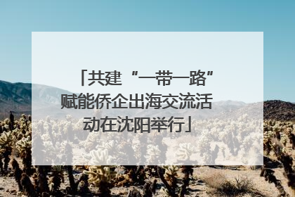 共建“一带一路”赋能侨企出海交流活动在沈阳举行