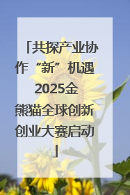 共探产业协作“新”机遇 2025金熊猫全球创新创业大赛启动