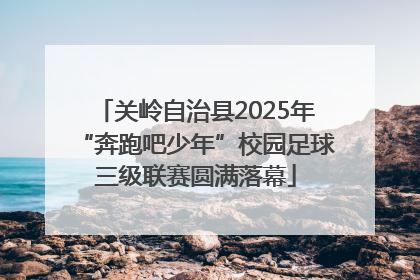 关岭自治县2025年“奔跑吧少年”校园足球三级联赛圆满落幕