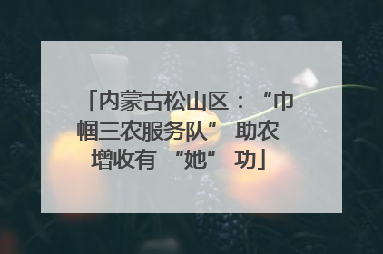 内蒙古松山区：“巾帼三农服务队” 助农增收有 “她” 功