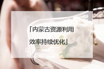 内蒙古资源利用效率持续优化