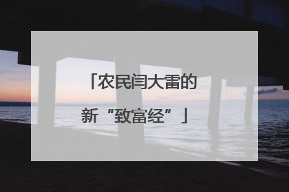 农民闫大雷的新“致富经”