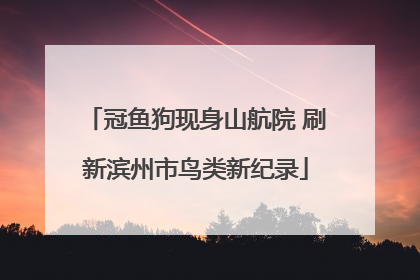 冠鱼狗现身山航院 刷新滨州市鸟类新纪录