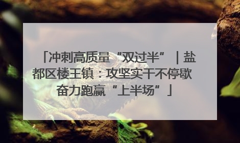 冲刺高质量“双过半”｜盐都区楼王镇：攻坚实干不停歇 奋力跑赢“上半场”