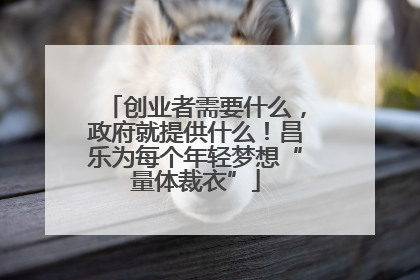 创业者需要什么，政府就提供什么！昌乐为每个年轻梦想“量体裁衣”