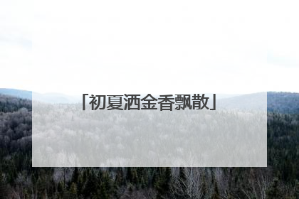 初夏洒金香飘散
