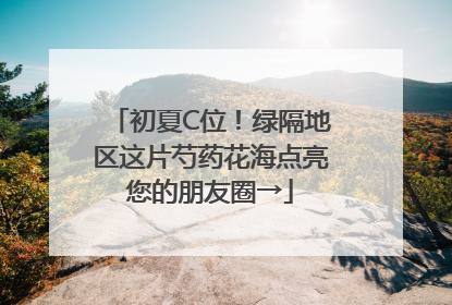 初夏C位！绿隔地区这片芍药花海点亮您的朋友圈→