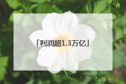 利润超1.3万亿