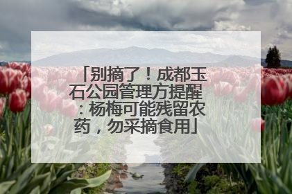 别摘了！成都玉石公园管理方提醒：杨梅可能残留农药，勿采摘食用
