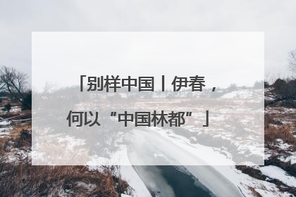 别样中国丨伊春，何以“中国林都”
