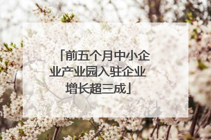 前五个月中小企业产业园入驻企业增长超三成