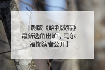 剧版《哈利波特》最新选角出炉，马尔福饰演者公开