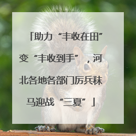助力“丰收在田”变“丰收到手”，河北各地各部门厉兵秣马迎战“三夏”