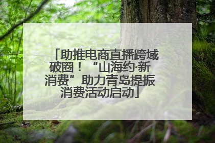 助推电商直播跨域破圈！“山海约·新消费”助力青岛提振消费活动启动