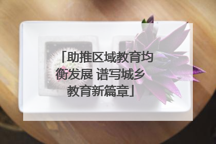 助推区域教育均衡发展 谱写城乡教育新篇章