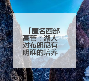 匿名西部高管：湖人对布朗尼有明确的培养计划