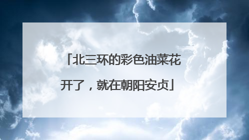 北三环的彩色油菜花开了，就在朝阳安贞