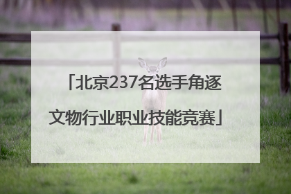 北京237名选手角逐文物行业职业技能竞赛