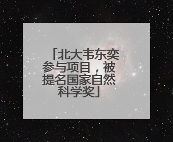 北大韦东奕参与项目，被提名国家自然科学奖