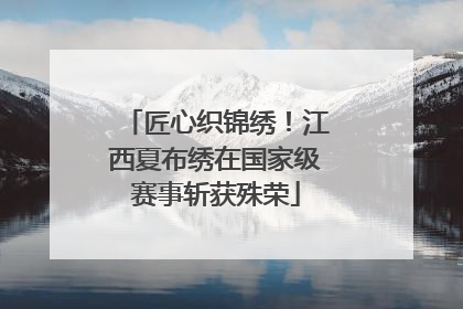 匠心织锦绣！江西夏布绣在国家级赛事斩获殊荣