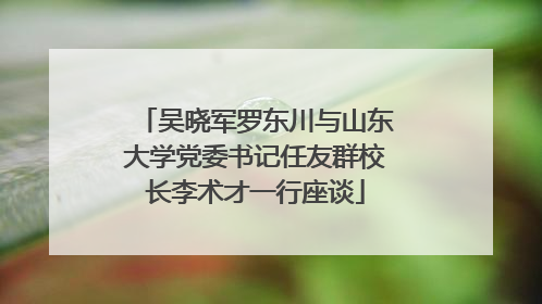 吴晓军罗东川与山东大学党委书记任友群校长李术才一行座谈