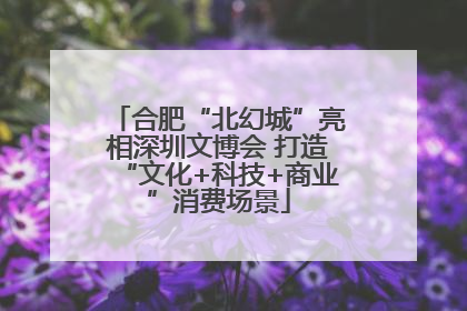 合肥“北幻城”亮相深圳文博会 打造“文化+科技+商业”消费场景