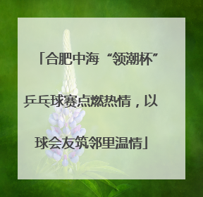 合肥中海“领潮杯”乒乓球赛点燃热情，以球会友筑邻里温情