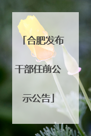 合肥发布干部任前公示公告