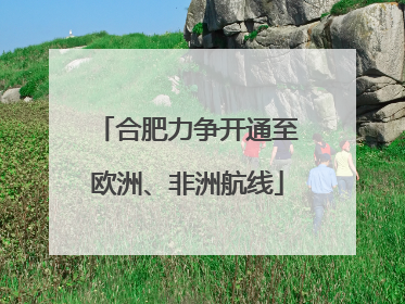 合肥力争开通至欧洲、非洲航线